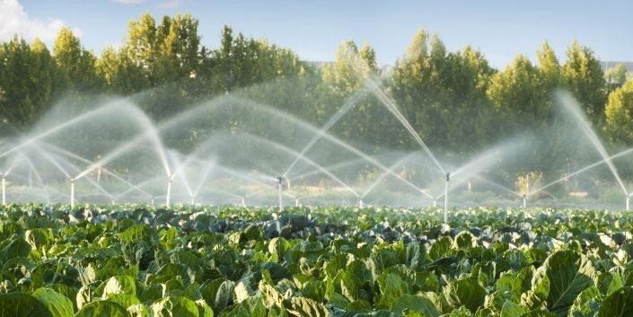Garden Irrigation Solutions: DIY, Efficient, & Toxin-Free Watering